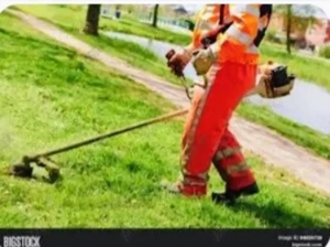 Întrețin spații verzi 