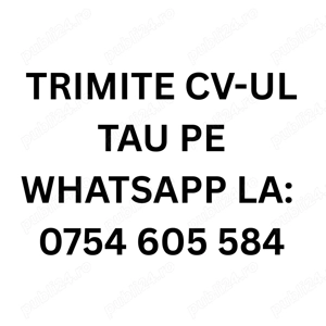 Angajăm doamnă pentru menaj și gătit   program full-time (L V)