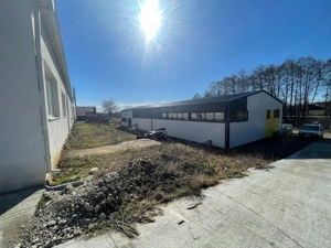 Oportunitate Tautii Magheraus - Hale noi si teren - imagine 9