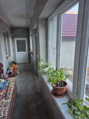 vind casa in telna  - imagine 3