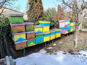 Vând lăzi de stupi