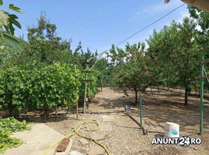 Otopeni central VILA P+1(400mp cu 3 apartamente) si 1000 mp teren - imagine 9