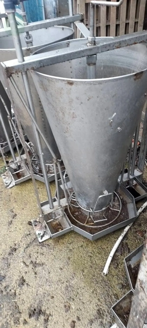 hranitori porci mari și purcei  - imagine 3