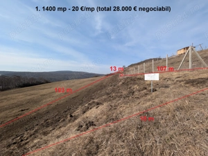 Vand terenuri extravilane in Popesti, com. Baciu - imagine 2