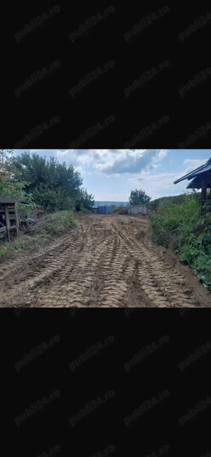 Vand teren de la Șimian langa dunare - imagine 3