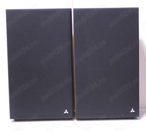 Boxe podea Mitsubishi SS-310(2x50W).