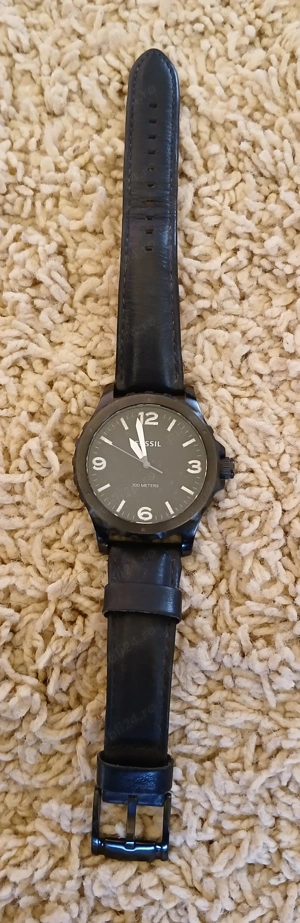 ceas barbatesc Fossil