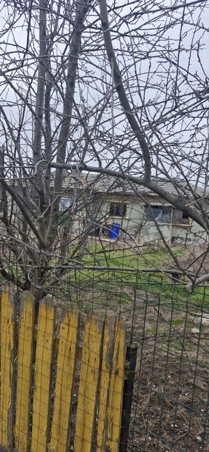 Casa bătrânească de vânzare în Tuzla - imagine 5