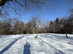 Teren intravilan 763 mp in zona Bran-Tohanita,judetul Brasov  - imagine 6