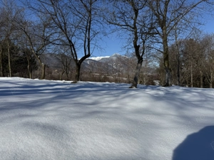 Teren intravilan 763 mp in zona Bran-Tohanita,judetul Brasov  - imagine 4