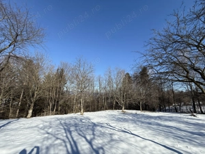 Teren intravilan 763 mp in zona Bran-Tohanita,judetul Brasov  - imagine 7