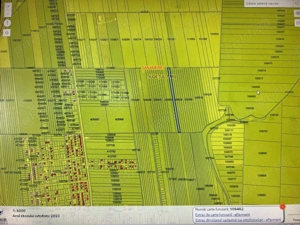 Teren extravilan inclus in PUG la iesirea din Sanandrei - imagine 2