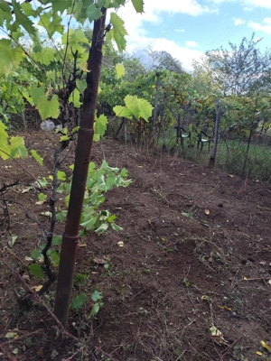 Casa Baicoi 120mp. Valea Stelii - imagine 10