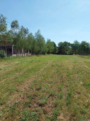 Teren 1942 mp, Baicoi, €32.500
 - imagine 5