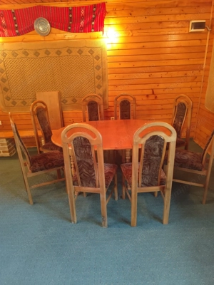 Vila superba 7 camere, Provita de Jos, 22.000 mp teren - imagine 4