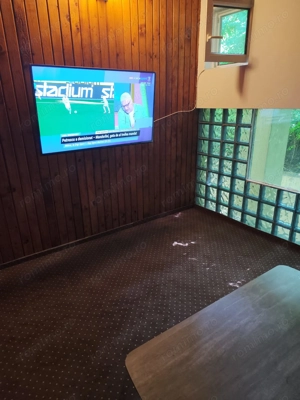 Vila superba 7 camere, Provita de Jos, 22.000 mp teren - imagine 11