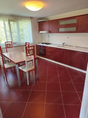 Vila superba 7 camere, Provita de Jos, 22.000 mp teren - imagine 8