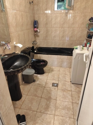 Vila superba 7 camere, Provita de Jos, 22.000 mp teren - imagine 10