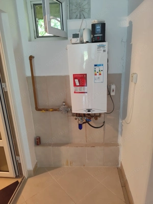 Vila superba 7 camere, Provita de Jos, 22.000 mp teren - imagine 5