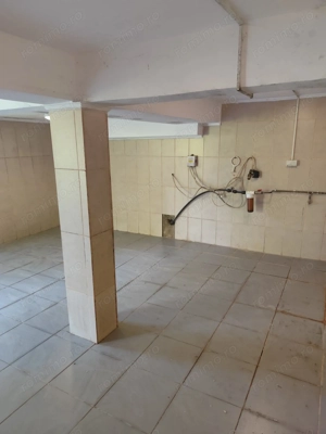 Vila superba 7 camere, Provita de Jos, 22.000 mp teren - imagine 6