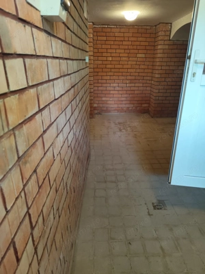 Vila superba 7 camere, Provita de Jos, 22.000 mp teren - imagine 18