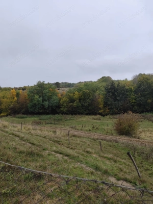 VIla de vanzare Teisani Stubeiu 11250 mp - imagine 6