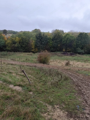 VIla de vanzare Teisani Stubeiu 11250 mp - imagine 5