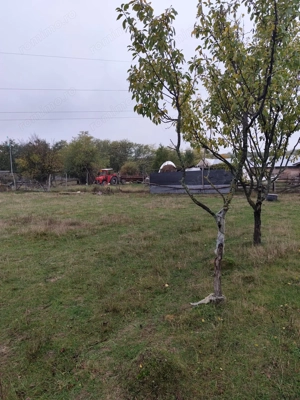 VIla de vanzare Teisani Stubeiu 11250 mp - imagine 8