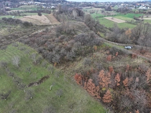 Teren de vânzare in Groși, Maramureș, 55 ari  - imagine 4