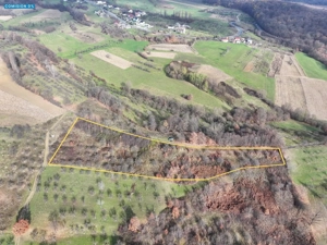 Teren de vânzare in Groși, Maramureș, 55 ari 