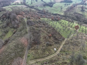 Teren de vânzare in Groși, Maramureș, 55 ari  - imagine 3