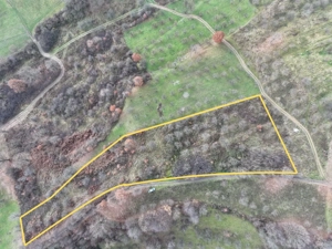 Teren de vânzare in Groși, Maramureș, 55 ari  - imagine 2