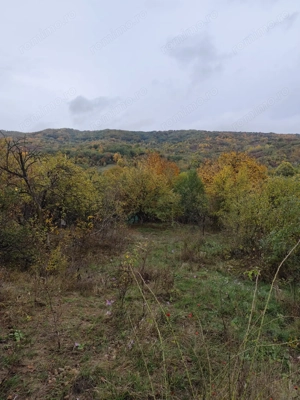 Vanzare sau Schimb! Central Drajna de Jos 5000 mp - imagine 8