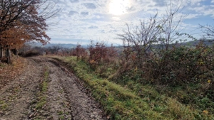 Teren de vânzare in Groși, Maramureș, 55 ari  - imagine 8