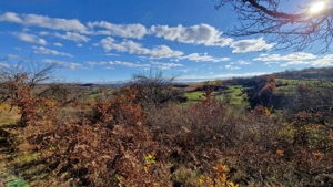 Teren de vânzare in Groși, Maramureș, 55 ari  - imagine 6