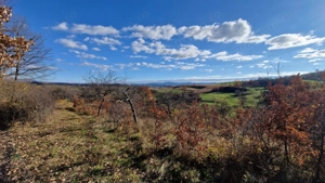 Teren de vânzare in Groși, Maramureș, 55 ari  - imagine 5