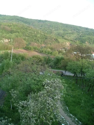 Vanzare sau Schimb! Central Drajna de Jos 5000 mp - imagine 4