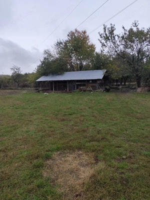 VIla de vanzare Teisani Stubeiu 11250 mp - imagine 9