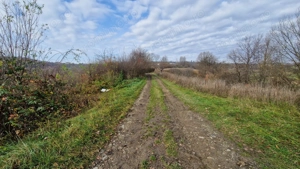 Teren de vânzare in Groși, Maramureș, 55 ari  - imagine 7