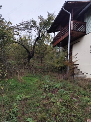 Vanzare sau Schimb! Central Drajna de Jos 5000 mp - imagine 10