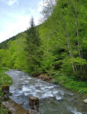 House for sale, 5 Rooms, 180 sqm, Valea Dejani - imagine 7