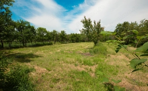 Casa de familie in zona rurala linistita - imagine 6