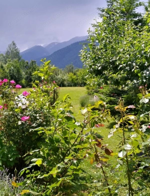 House for sale, 5 Rooms, 180 sqm, Valea Dejani - imagine 12