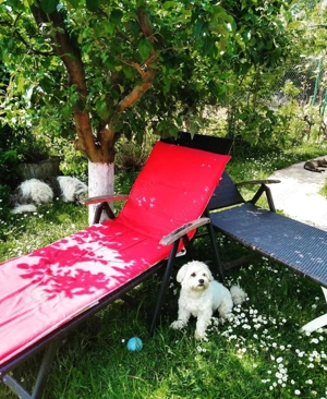 House for sale, 5 Rooms, 180 sqm, Valea Dejani - imagine 11