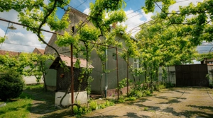 Casa de familie in zona rurala linistita - imagine 7