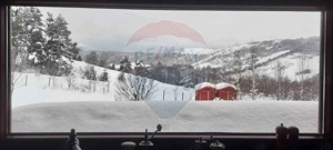 Teren 7160 mp/PUZ/cabana-ideal pentru proiect turistic/glamping - imagine 16