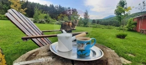 Teren 7160 mp/PUZ/cabana-ideal pentru proiect turistic/glamping - imagine 3