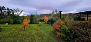 Teren 7160 mp/PUZ/cabana-ideal pentru proiect turistic/glamping - imagine 13