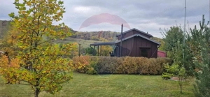 Teren 7160 mp/PUZ/cabana-ideal pentru proiect turistic/glamping - imagine 2