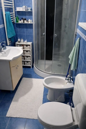 Teren si locuinta pentru investitii in Tazlau la DJ156A - imagine 8